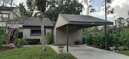 230 Woods Landing Trl Oldsmar, FL 34677