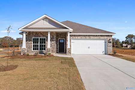 151 River Springs Court New Market, AL 35761