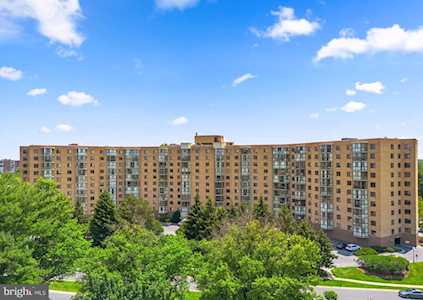 3310 N Leisure World Blvd #429 Silver Spring, MD 20906