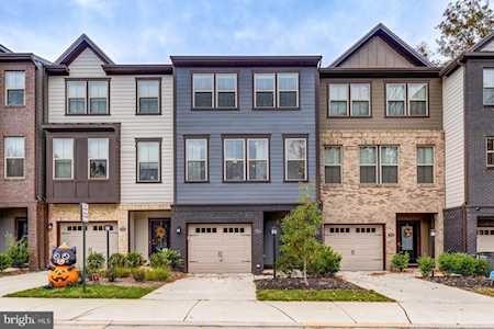 7354 Thomas Grant Dr Alexandria, VA 22315