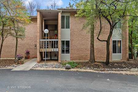 6013 Forest View Rd #1F Lisle, IL 60532