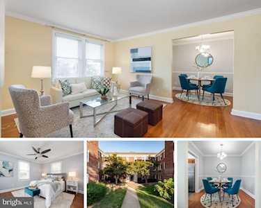 906 S Washington St #303 Alexandria, VA 22314