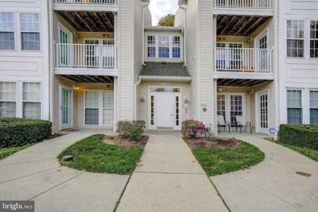 8706 Natures Trail Ct #304 Odenton, MD 21113