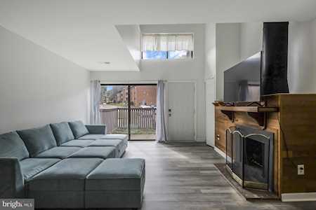 3865 El Camino Place #5 Alexandria, VA 22309