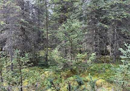 Lot 51 Sandy Ln Nikiski/North Kenai, AK 99611