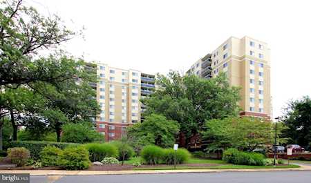 7333 New Hampshire Ave #709 S Takoma Park, MD 20912
