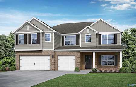 136 Chesire Cove Lane New Market, AL 35761