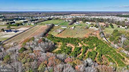 30104 Stockley Milton, DE 19968