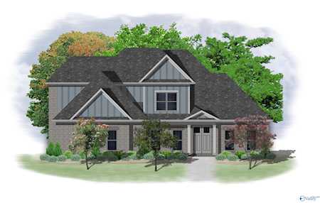 217 Oakland View Drive Brownsboro, AL 35741