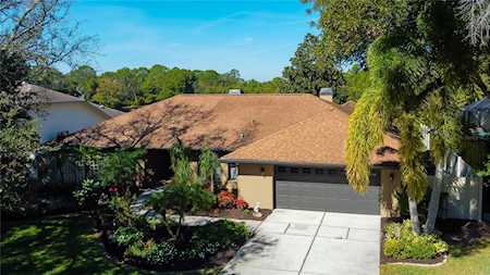 2940 Country Woods Ln Dunedin, FL 34698