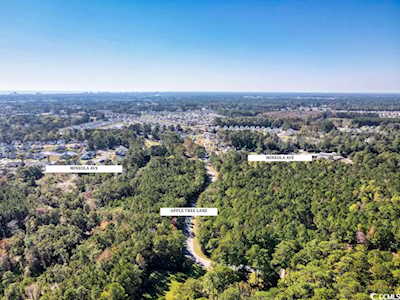 TBD1 Mineola Ave. Little River, SC 29566