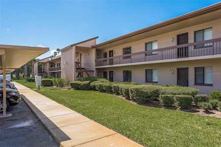 124 Camille Ct Oldsmar, FL 34677