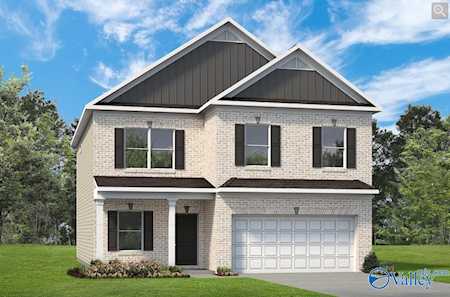 144 Mill View Drive New Market, AL 35761