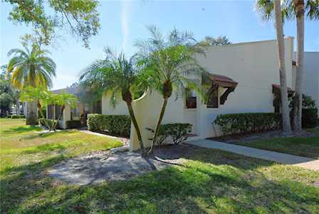 3505 Tarpon Woods Blvd #N406 Palm Harbor, FL 34685