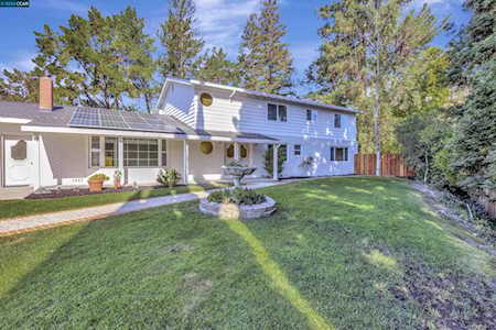 41 Tam O Shanter Alamo, CA 94507