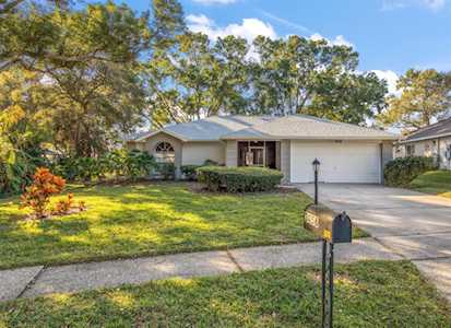 3456 Sutherland Dr Palm Harbor, FL 34684