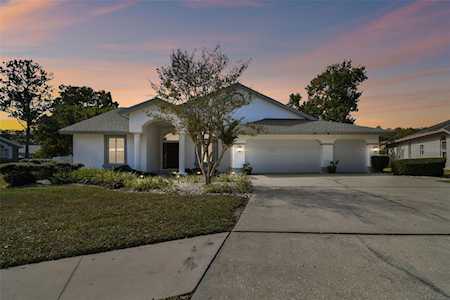 427 Mintwood TERRACE Tarpon Springs, FL 34688
