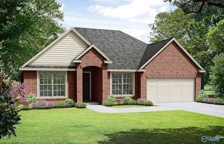 113 Nellies Way Meridianville, AL 35759