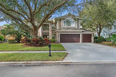4059 Ligustrum Dr Palm Harbor, FL 34685