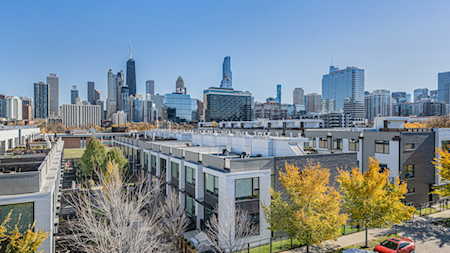 1015 N Cleveland Ave #6 Chicago, IL 60610