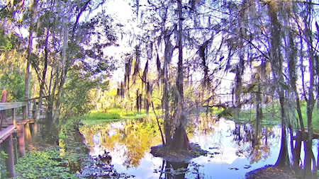 2500 Arbuckle Shores Rd Frostproof, FL 33843
