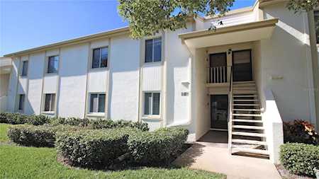 131 Cypress Ct #131 Oldsmar, FL 34677