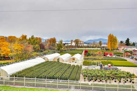 22600 Gilley Road #9 Richmond, BC V6V 1E4