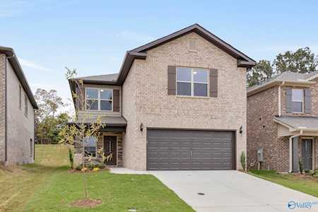 14652 Ravenel Drive Harvest, AL 35749