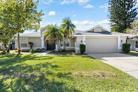 714 Belted Kingfisher Dr N Palm Harbor, FL 34683