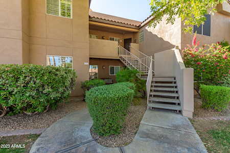 10101 N Arabian Trl #1078 Scottsdale, AZ 85258