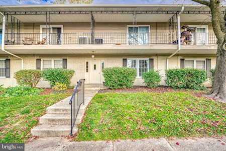 1 Center Rd #1B Towson, MD 21286