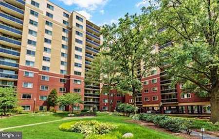 7333 New Hampshire Ave #209S Takoma Park, MD 20912