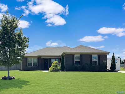 100 Lois Mance Lane New Market, AL 35761