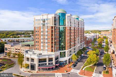 1915 Towne Centre Blvd #406 Annapolis, MD 21401