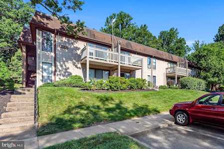 5822 Royal Ridge Dr #T Springfield, VA 22152