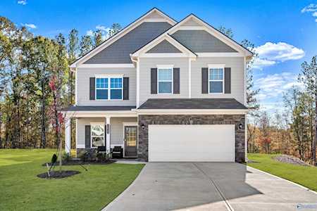 133 Mill Valley Way New Market, AL 35761