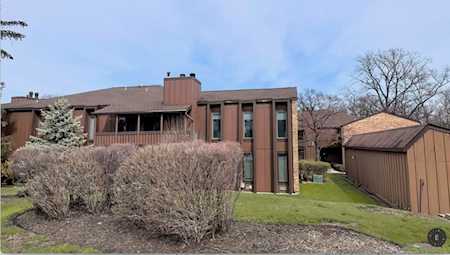 1S095 Spring Rd #2B Oakbrook Terrace, IL 60181