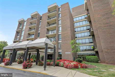 9900 Georgia Ave Silver Spring, MD 20902