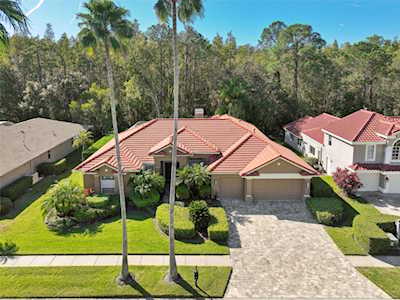12004 Marblehead Dr Tampa, FL 33626