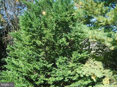 4933 Webbed Foot Way #17 Ellicott City, MD 21043