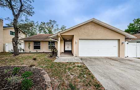 2617 Woodcote TERRACE Palm Harbor, FL 34685