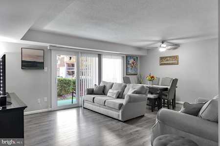 3805 Laramie Place #D Alexandria, VA 22309
