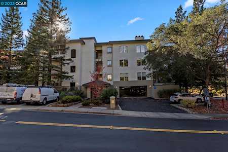 5910 Horseman's Canyon Drive Walnut Creek, CA 94595