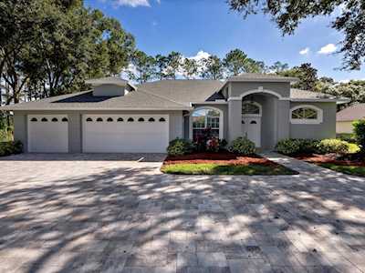 17110 Downs Dr Odessa, FL 33556