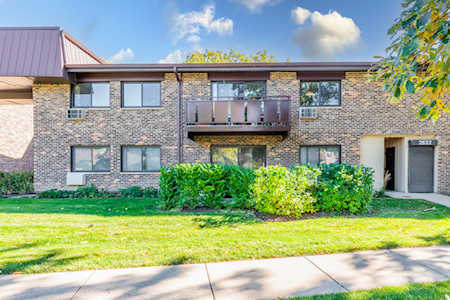 2632 N Windsor Dr #203 Arlington Heights, IL 60004