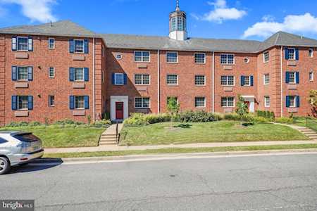 1636 W Abingdon Dr W #203 Alexandria, VA 22314