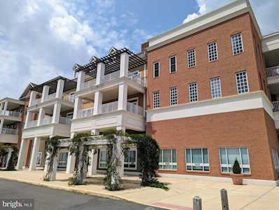 12001 Old Vine Blvd #3E308 Lewes, DE 19958