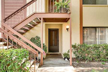 2363 Newburg Ln #B Safety Harbor, FL 34695