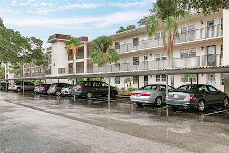 871 New York Ave #204 Dunedin, FL 34698