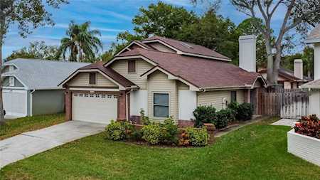 2240 Springflower Dr Clearwater, FL 33763